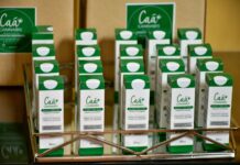 Cannabis medicinal el lanzamiento del primer lote para brindar alternativas terapéuticas a los correntinos