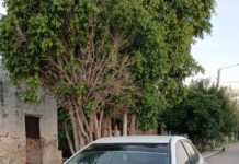 Las Breñas, el conductor del auto involucrado en el accidente dios positivo en alcoholemia