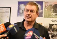 Dudik advierte que la cautelar deja al chaco sin un marco legal para cuidar el ambiente y paraliza la actividad forestal