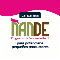 chaco_gif_250x250_nande_v1